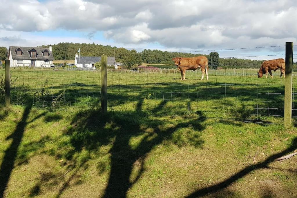Cosy 2 Bedroom Croft Cottage With Beautiful Views North Kessock Exterior foto